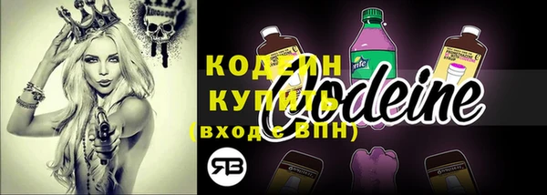 ПСИЛОЦИБИНОВЫЕ ГРИБЫ Няндома