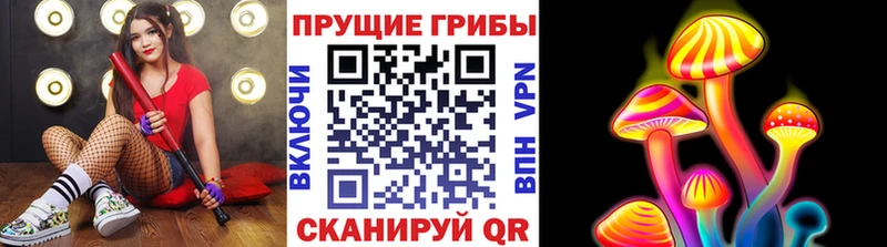 ОМГ ОМГ ССЫЛКА  Амурск  Галлюциногенные грибы Psilocybe 